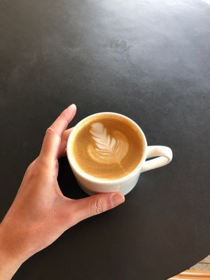  at PACT Coffee in Edmonton