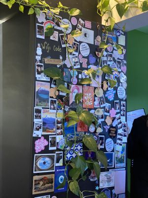   at Spread The Moon in Brussels