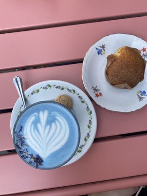   at Spread The Moon in Brussels