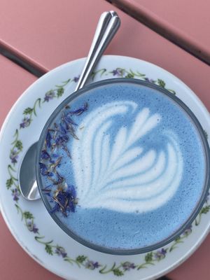   at Spread The Moon in Brussels