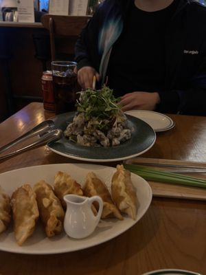 Gyozas and one of the Main Dishess  at Alt.a in Seoul