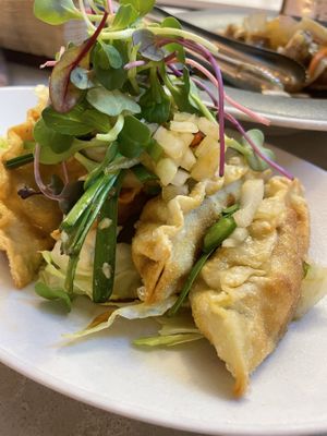 Fried mandoo with yurin sauce  at Alt.a in Seoul