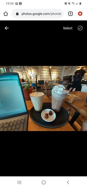 Cozy place to study at Chocolate Company Café in The Hague