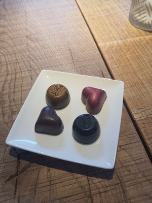 the circles are vegan at Chocolate Company Cafe in Zwolle