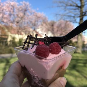   at Café Sjöholm in Angelholm