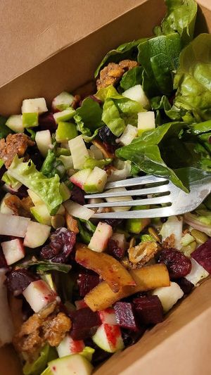 mixed greens, roasted balsamic beets, apples, candied nuts, pepitas, red onion, cranberry, coconut "bacon", with cranberry poppyseed vinaigrette at Radish Kitchen in Peoria