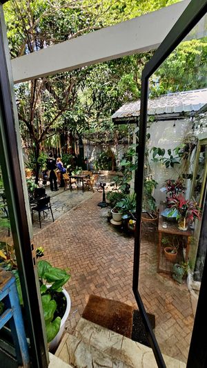  at Earth House Restaurant And Wine Bar in Bangkok