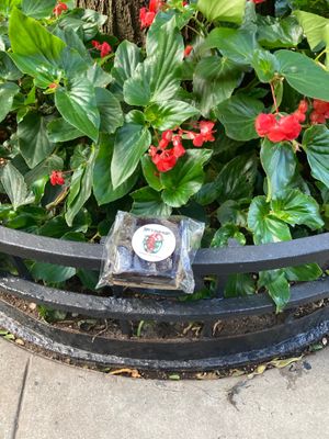 "Brookie" (brownie +cookie) at Bunny's Vegan Bakery - Pop Up in Queens