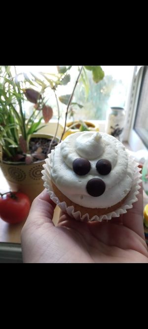 Boo box cupcake at Bunny's Vegan Bakery - Pop Up in Queens