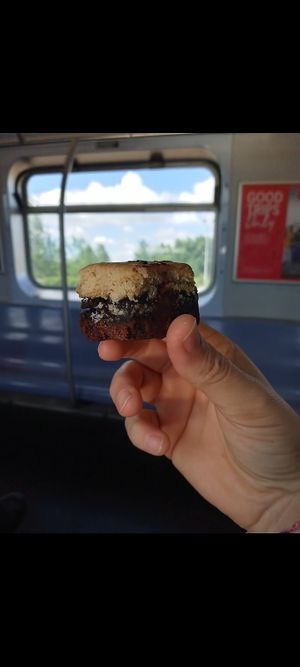 Brookie bite in BK at Bunny's Vegan Bakery - Pop Up in Queens