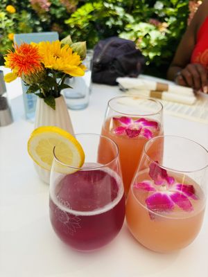   at Sunflower Caffe in Sonoma