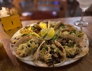 Vegan taco plate.  at La Taqueria in Belgrade