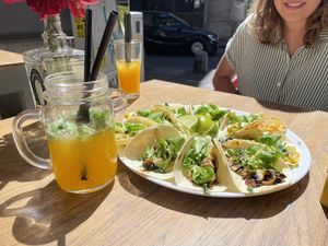   at La Taqueria in Belgrade