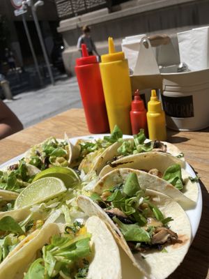   at La Taqueria in Belgrade