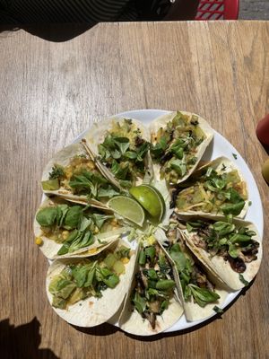   at La Taqueria in Belgrade