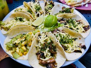 Vegan Taco Plate at La Taqueria in Belgrade