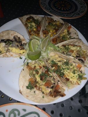 Vegan taco plate with cheese...  at La Taqueria in Belgrade