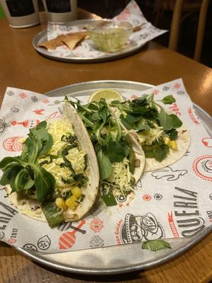   at La Taqueria in Belgrade