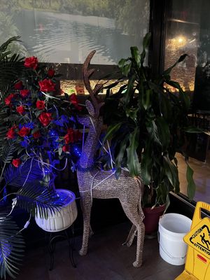 I liked the reindeer   at RAMARN THAI in Lancaster