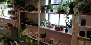  at Pamai - Maybe closed in Montreal