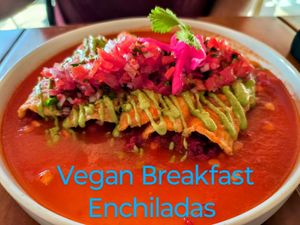  at Ocean's Isla in Isla Mujeres