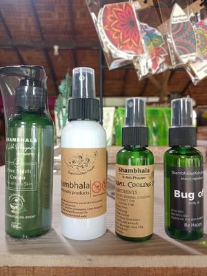  at Shambhala in Koh Phayam