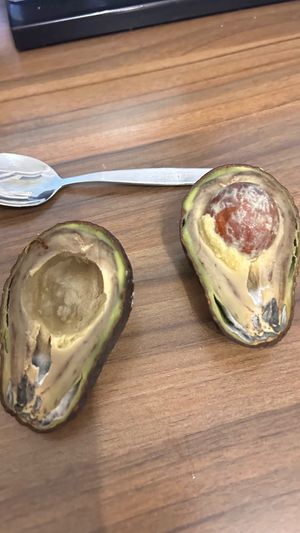  at Naturlich Mainz in Mainz