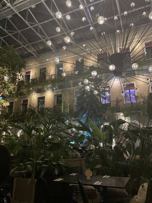   at Twentysix in Budapest