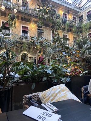   at Twentysix in Budapest