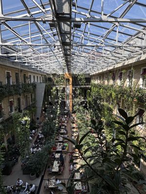   at Twentysix in Budapest