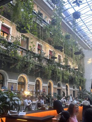   at Twentysix in Budapest