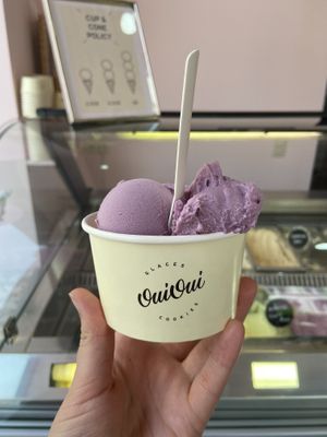 Blueberry ice cream  at Oui Oui - Saint-Gilles in Brussels