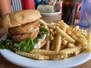 Chickn sandwich and fries - lots of food!  at Paradox Cafe in Portland