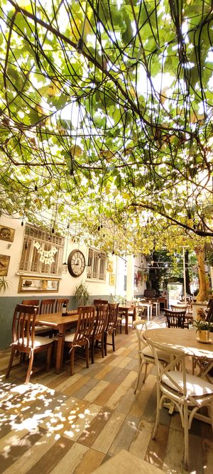  at Sugar & Salt in Mugla