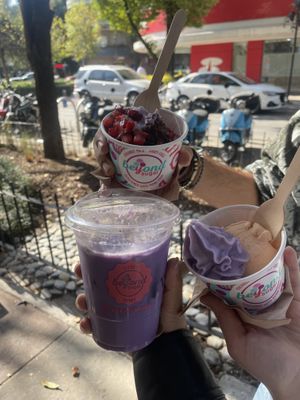   at Beyond Sugar Heladería in Mexico City