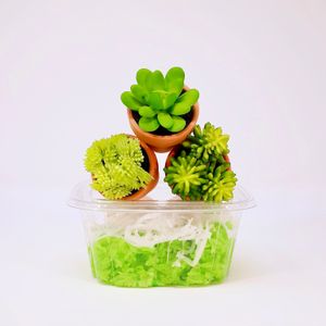 Pandan Sticky Rice (Vegan 🌱) at Yen's Kitchen in Lake Worth