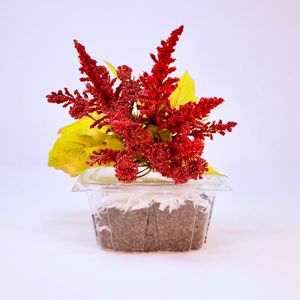 Charcoal Sticky Rice (Vegan 🌱) at Yen's Kitchen in Lake Worth