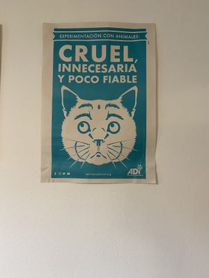   at Marvelous Vegan Plant Power Food in Bogota