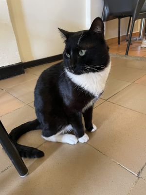   at Marvelous Vegan Plant Power Food in Bogota