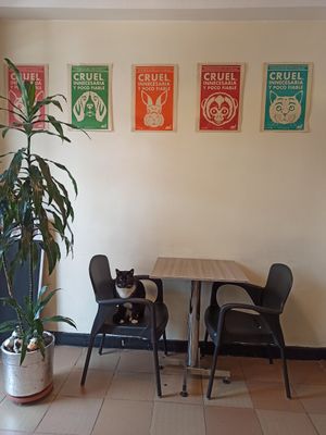  at Marvelous Vegan Plant Power Food in Bogota