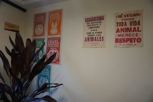 Posters in the cafe  at Marvelous Vegan Plant Power Food in Bogota