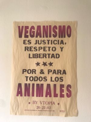  at Marvelous Vegan Plant Power Food in Bogota