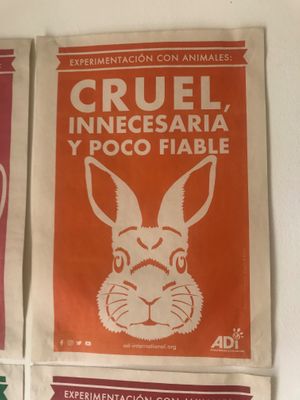  at Marvelous Vegan Plant Power Food in Bogota