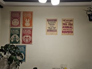  at Marvelous Vegan Plant Power Food in Bogota