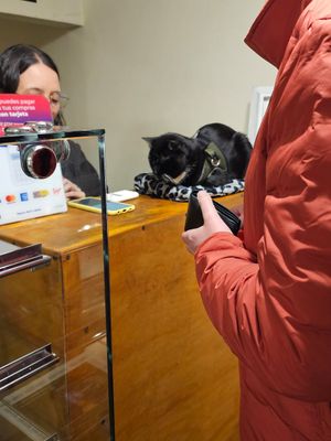  at Marvelous Vegan Plant Power Food in Bogota