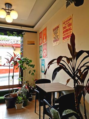  at Marvelous Vegan Plant Power Food in Bogota