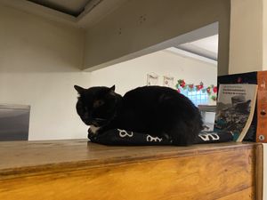   at Marvelous Vegan Plant Power Food in Bogota