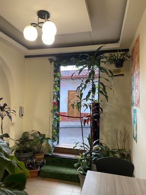   at Marvelous Vegan Plant Power Food in Bogota