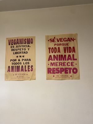   at Marvelous Vegan Plant Power Food in Bogota