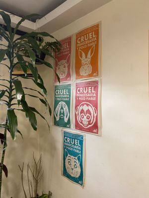   at Marvelous Vegan Plant Power Food in Bogota